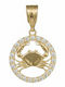 Charm Semn Zodiacal Cancer Din Aur Galben 14 Carate Cu Zircon