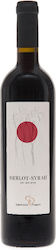 Anastasia Fragou Αλυπος Merlot-syrah Rot Trocken 750ml Anastasia Fragou Αλυπος Merlot-syrah Rot Trocken 750ml