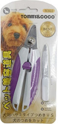 Rolinger for Dogs