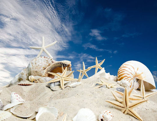 Beach Stars Rahmen auf Segeltuch 45x30cm