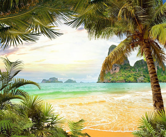 Tapet Autocolant De Perete Beach Palm Trees Rocks 220x135cm Lavabil