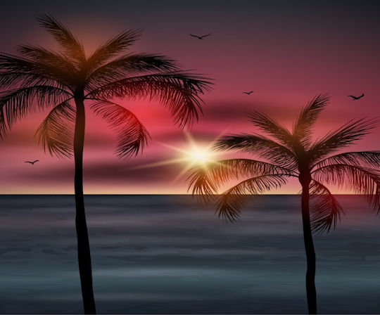 Φωτοταπετσαρία Τοίχου Palm Trees3 Χάρτινη 300x250cm Πλενόμενη