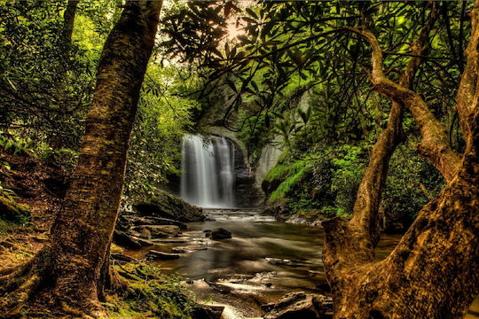 Self-Adhesive Wall Wallpaper Small Forest Waterfall 350x250cm Washable