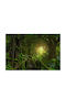 Selbstklebend Tapete L200xB150cm Waschbar FTAP-FOTOTAP10023