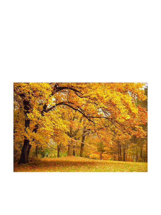 Autocolantă Tapet de Perete 200x150cm Lavabil