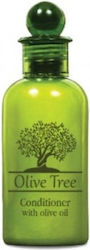 Olive Tree Conditioner 40ml Olive Tree Conditioner 40ml