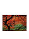 Self-adhesive Wall Mural 200x150cm Washable