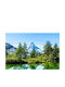 Tapet Autocolant Natura146 350x200cm Lavabil