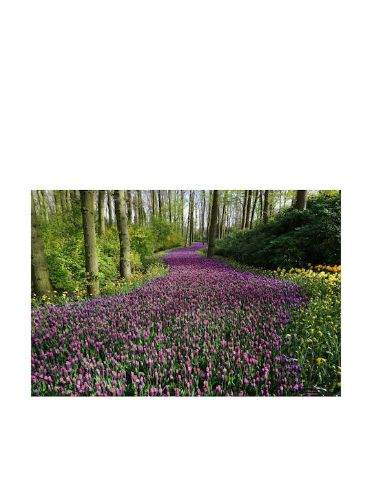 Autocolantă Tapet de Perete 350x200cm Lavabil