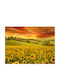 Autocolantă Tapet de Perete 250x150cm Lavabil