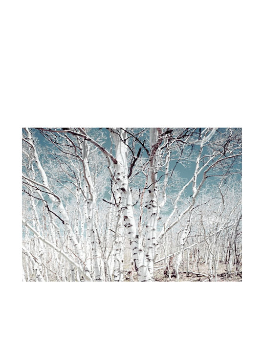 Autocolantă Tapet de Perete 300x200cm Lavabil