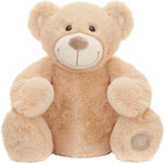 Plush Bear 50 cm