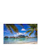 Ταπετσαρία Τοίχου Exotic Bora Bora 270x200cm Πλενόμενη