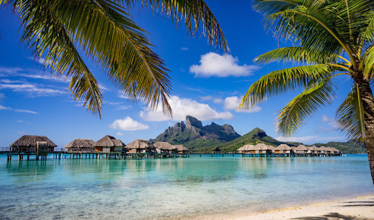 Ταπετσαρία Τοίχου Exotic Bora Bora 270x200cm Πλενόμενη