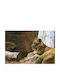 Autocolantă Fototapet de Perete 250x200cm Lavabil