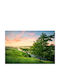 Self-adhesive Wall Mural 270x200cm Washable
