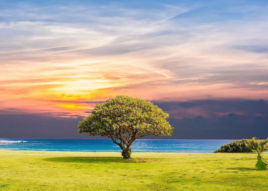Tapet De Perete Bonzai By Sea 220x135cm Lavabil