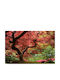 Self-Adhesive Photo Wallpaper Wall Tree Red Leaves 300x200cm Washable