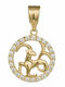 Charm Capricorn Semn Zodiacal Capricorn Din Aur Galben 9 Carate Cu Zircon