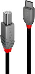 Lindy USB 2.0 USB-C masculin - USB-B 2m (36942)