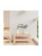 Wooden Garden Stool Cube for Outdoor Use Pink 57.5x57.5x30cm