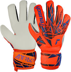 Reusch Reusch Attrakt Solid Adults Goalkeeper Gloves Orange
