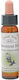 Crystal Herbs Αγριοκαστανιά Ανθοΐαμα σε Σταγόνες 10ml 1τμχ