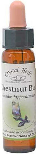 Crystal Herbs Αγριοκαστανιά Ανθοΐαμα σε Σταγόνες 10ml 1τμχ