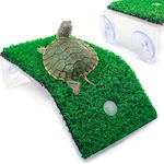 Accessory for Reptiles Terrarium