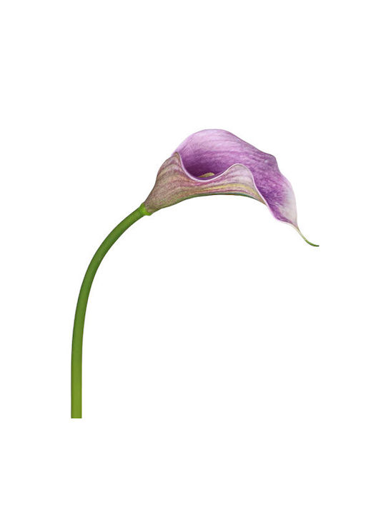 Artificial Decorative Branch Calla Lily Purple 50cm 1pcs