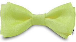 Carnival Bow Tie