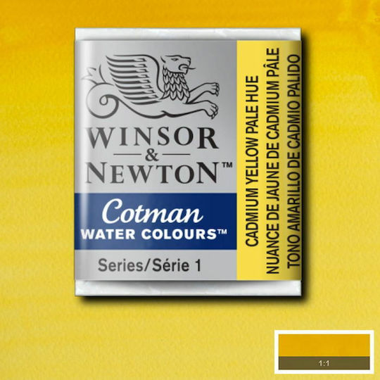 Winsor & Newton Water Colour Half Pan 119 Cadmium Yellow Pale Hue Winsor Newton Cotman Watercolour Yellow