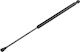 NTY Trunk Shock for Renault Clio