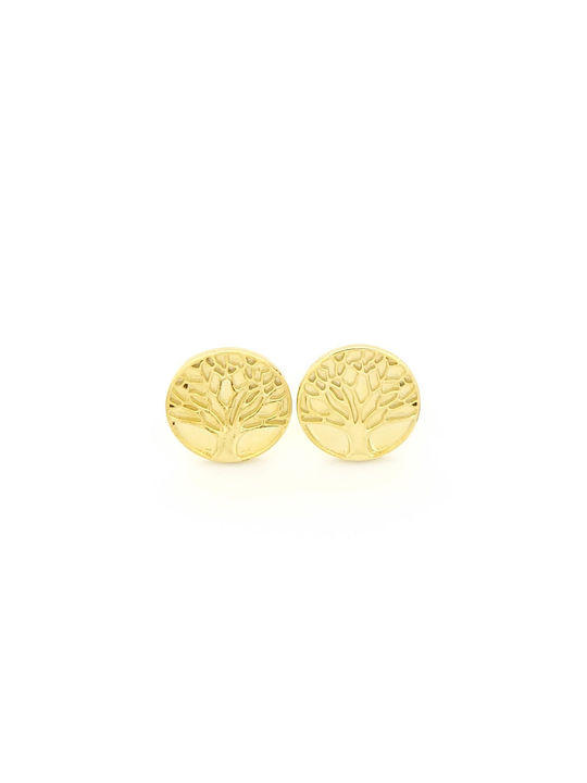 Earrings made of Silver Gold Plated