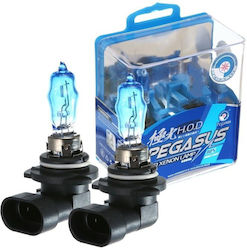 Pegasus Lămpi HB3-9005 Halogen 6000K Alb rece 12V 100W 2buc