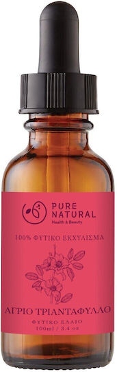 Pure Natural Αρωματικό Έλαιο Τριαντάφυλλου 100ml 251