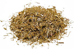 Kentaurium 30g 100000023