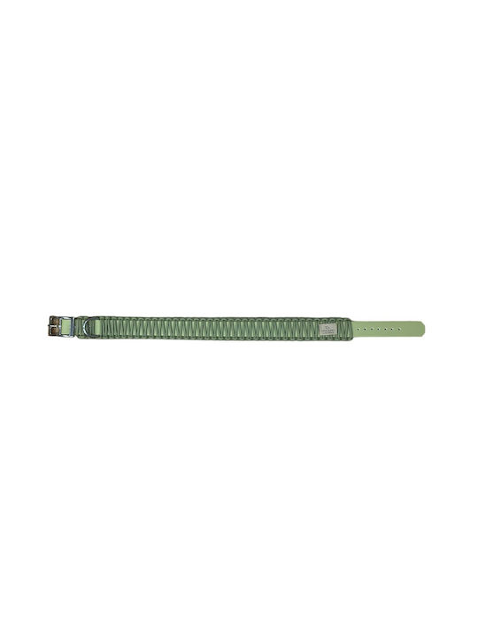 Unicord Dog Collar in Green color
