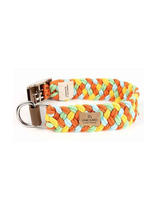 Unicord Colour Party Orange 30 Dog Collar in Yellow color