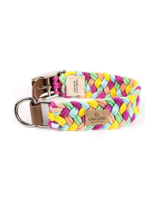 Unicord Colour Party Fuchsia 30 Dog Collar in Pink color