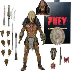 Predator Alien Predator