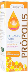 Drasanvi Propolis 50ml Waldfrüchte