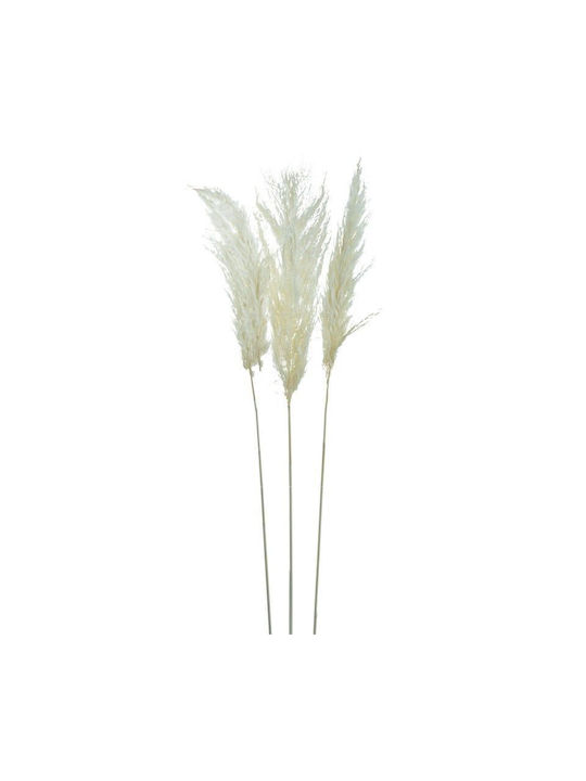 Artekko Dried Plant 1pcs