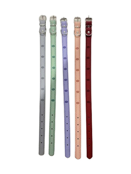 Hundehalsbänder 30mm x 56cm 12 Stück Verschiedene Farben Hundehalsbänder 30mm x 56cm 12 Stück Verschiedene Farben