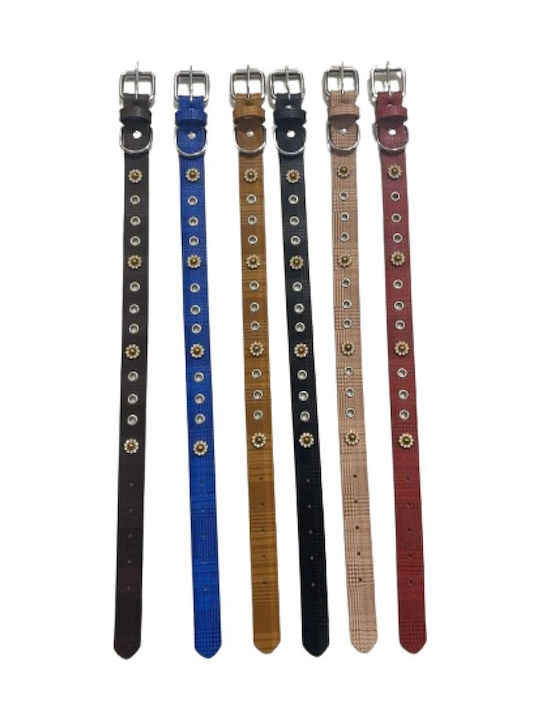 Dog Collar 20mm x 46cm 12pcs (Various Colors)