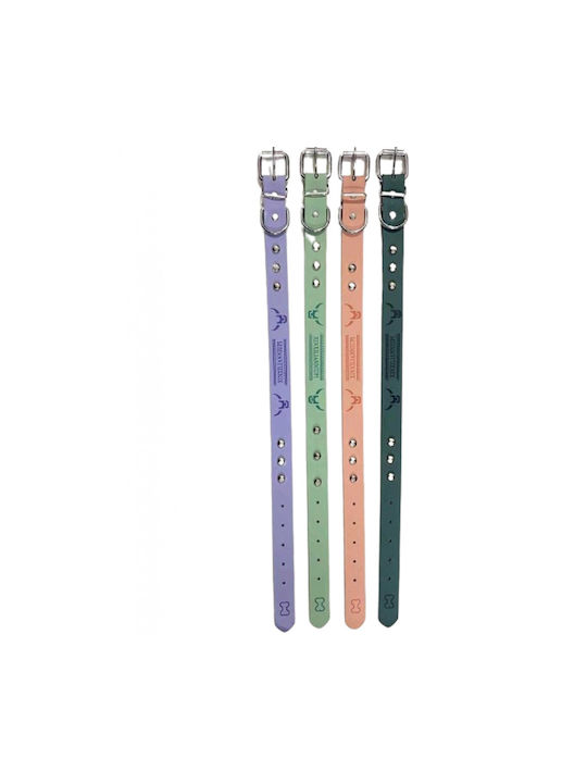Dog Collar 25mm x 52cm 12pcs (Various Colors)