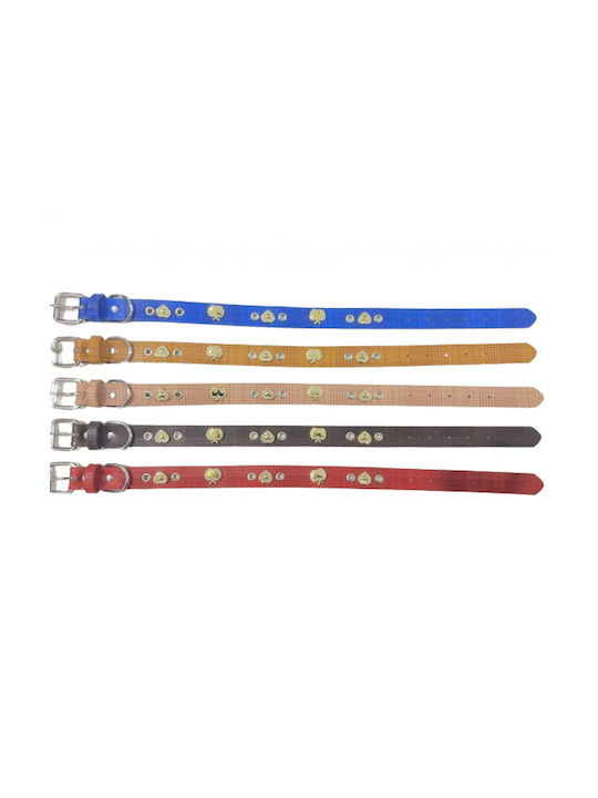Dog Collar 20mm x 46cm 12pcs (Various Colors)