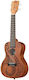 Kala Konzert Ukulele