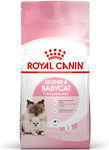 Royal Canin Mother Trockenfutter für junge Katzen mit Ton 0.4kg