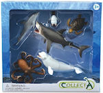 Collecta Miniatur-Spielzeug Sea Animals für 3+ Jahre